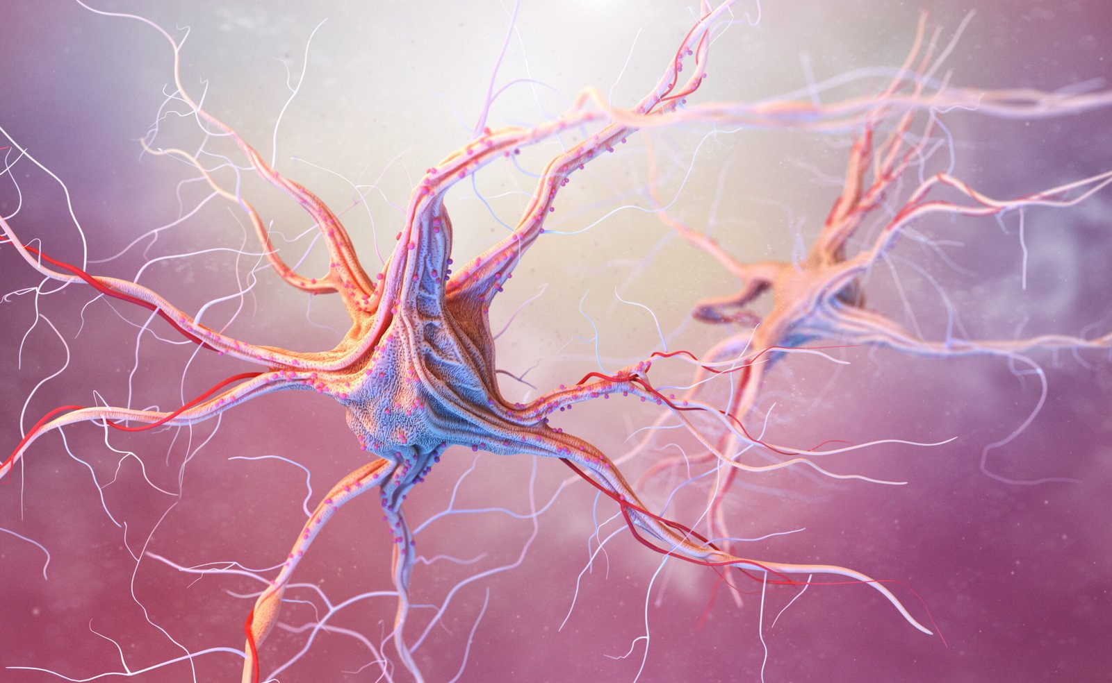 The Role of Neuroplasticity in Long-Term Wellness  
